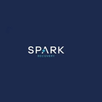 SparkRecovery